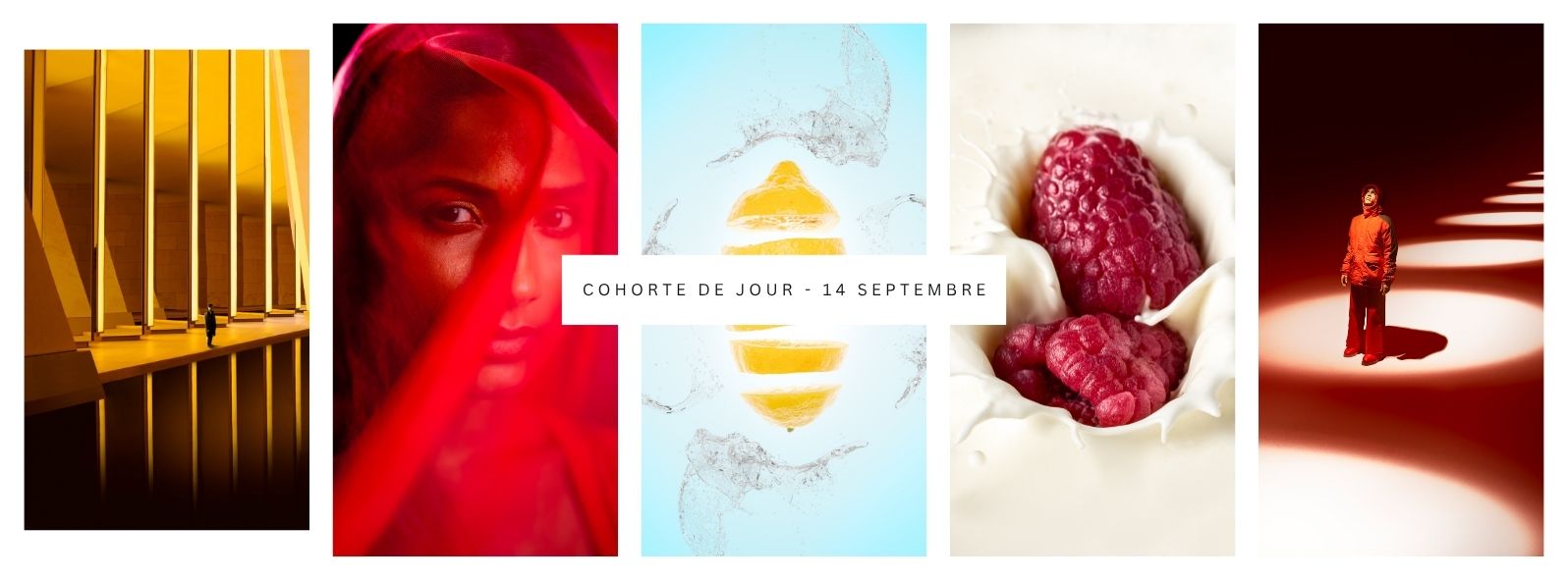 Inscriptions, cours de photographie, peu de frais